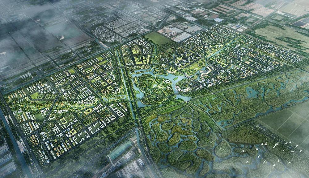 东台vs盐城夜景视频直播，我蹲了三天两夜，发现这两个地方根本不是一个画风